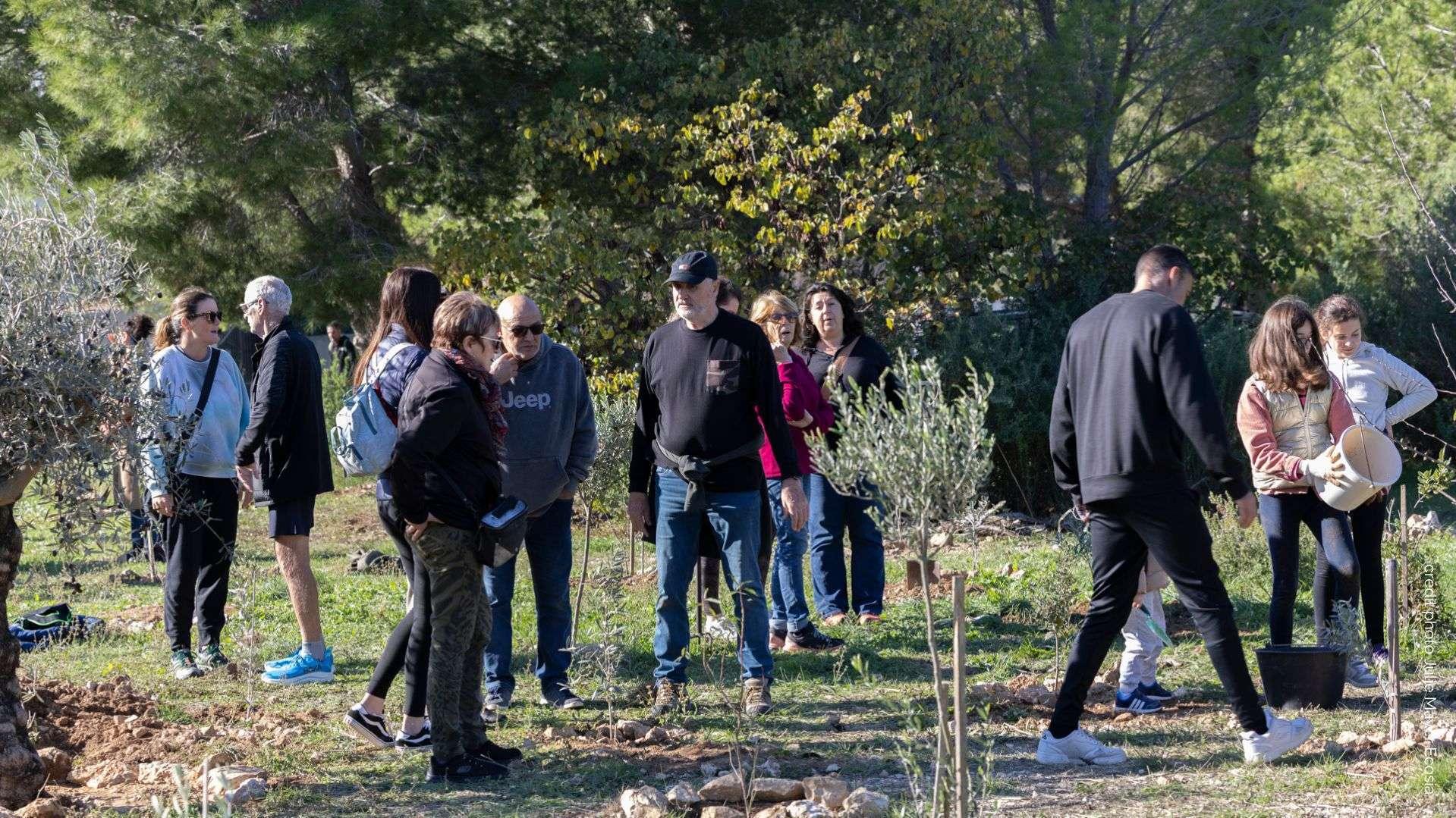 5 ans après l'incendie de 2020, 300 habitants "guérissent les cœurs" en replantant la forêt à Sausset-les-Pins