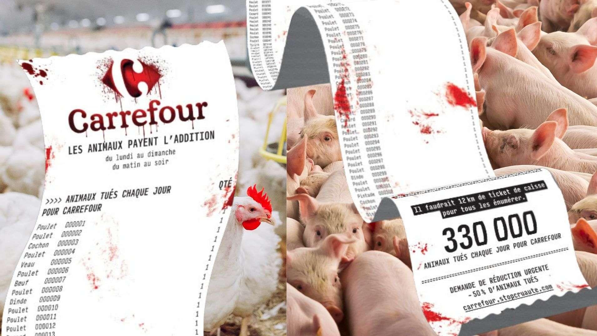 Aix-La-Pioline : L214 va déployer un ticket de caisse géant devant Carrefour pour dénoncer l'élevage intensif