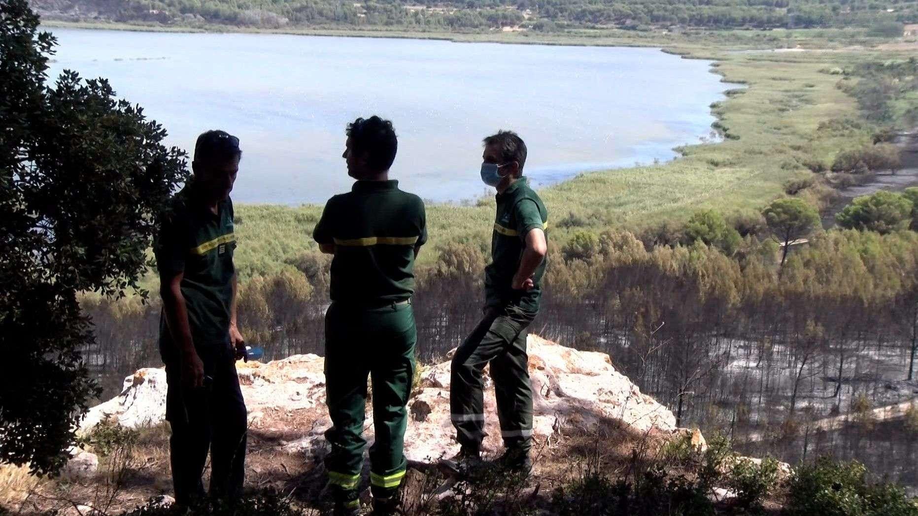 Feux de forêt : pourquoi l'ONF est déjà sur le pont dans nos massifs cet hiver 