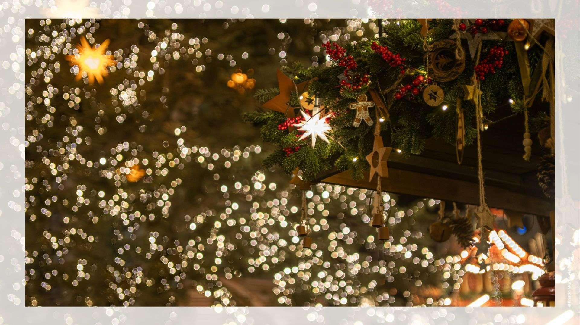 Le Jardin de Noël des Créateurs illumine Port-de-Bouc