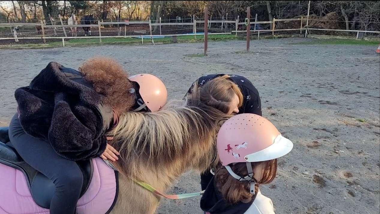 Médiation animale à Istres : quand les chevaux aident les enfants à vaincre leurs peurs 