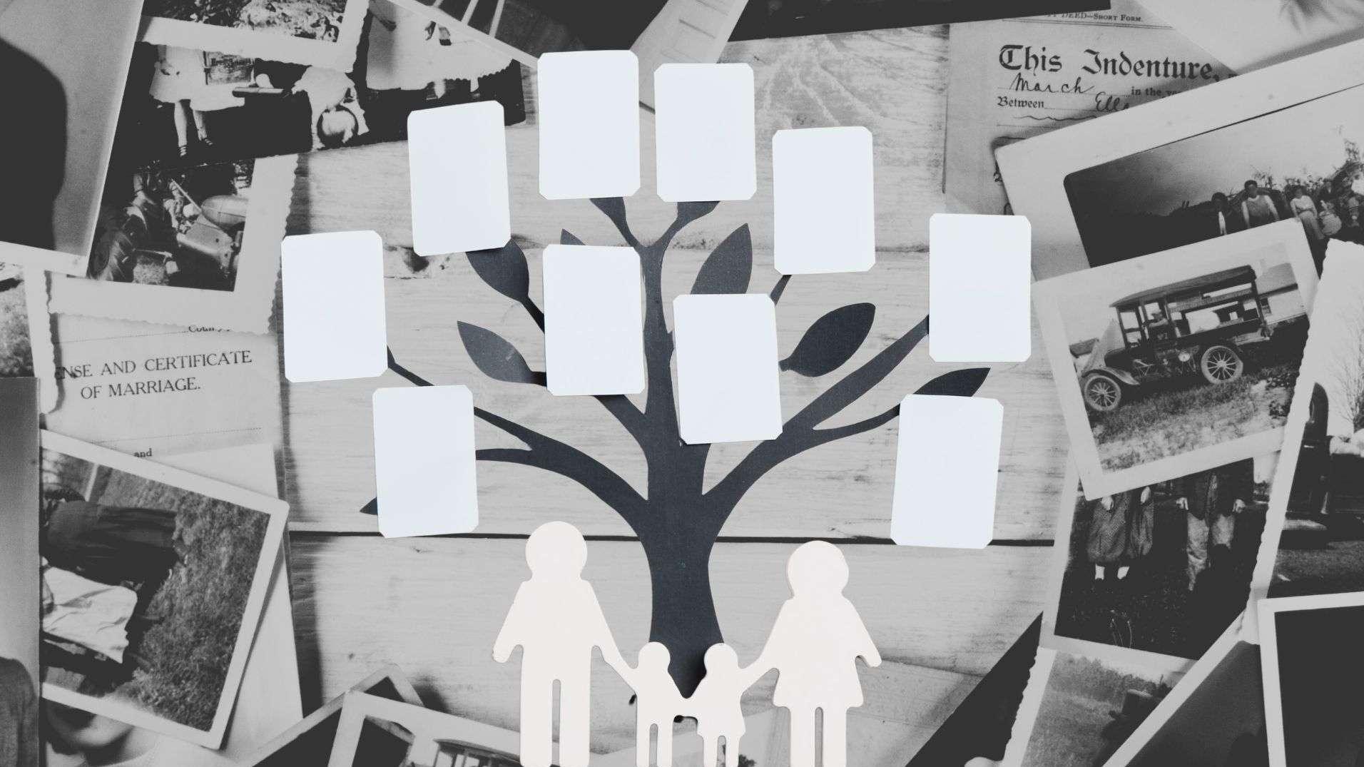 Geneanet : "On a tous envie de savoir d'où l'on vient", le succès fou de la généalogie en ligne