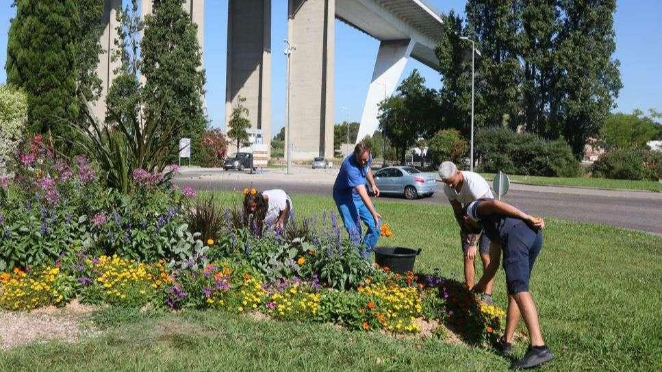 Job d'été 2026 à Martigues : la mairie lance ses recrutements lundi