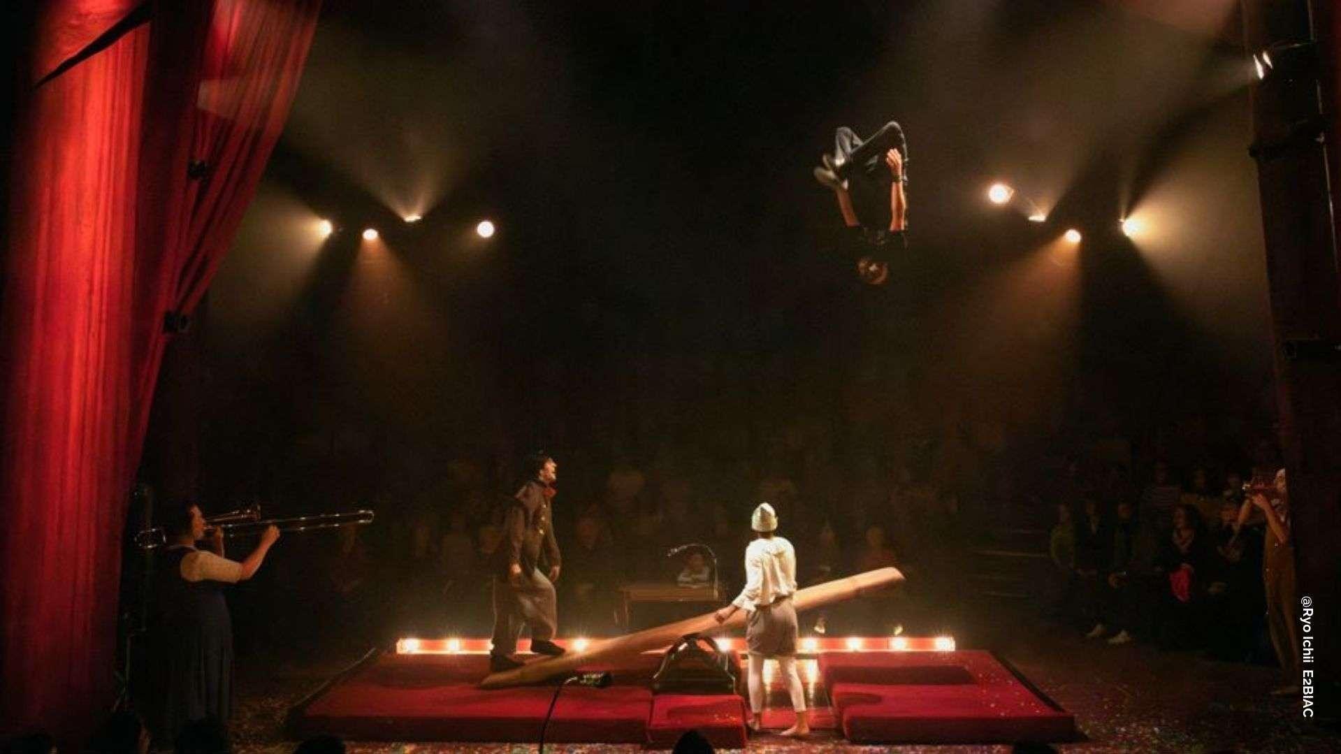 Que faire ce week-end ? Oursins, cirque et gâteau des rois géant... le top des sorties en Provence