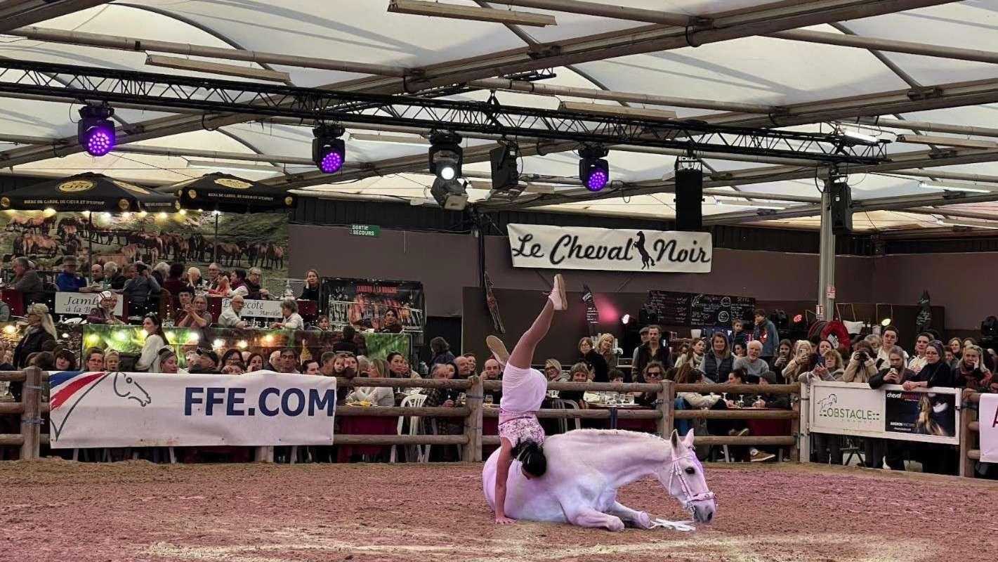 Avignon : Cheval Passion fête ses 40 ans, entre magie des Crinières d’Or et secrets de l’équitation de travail