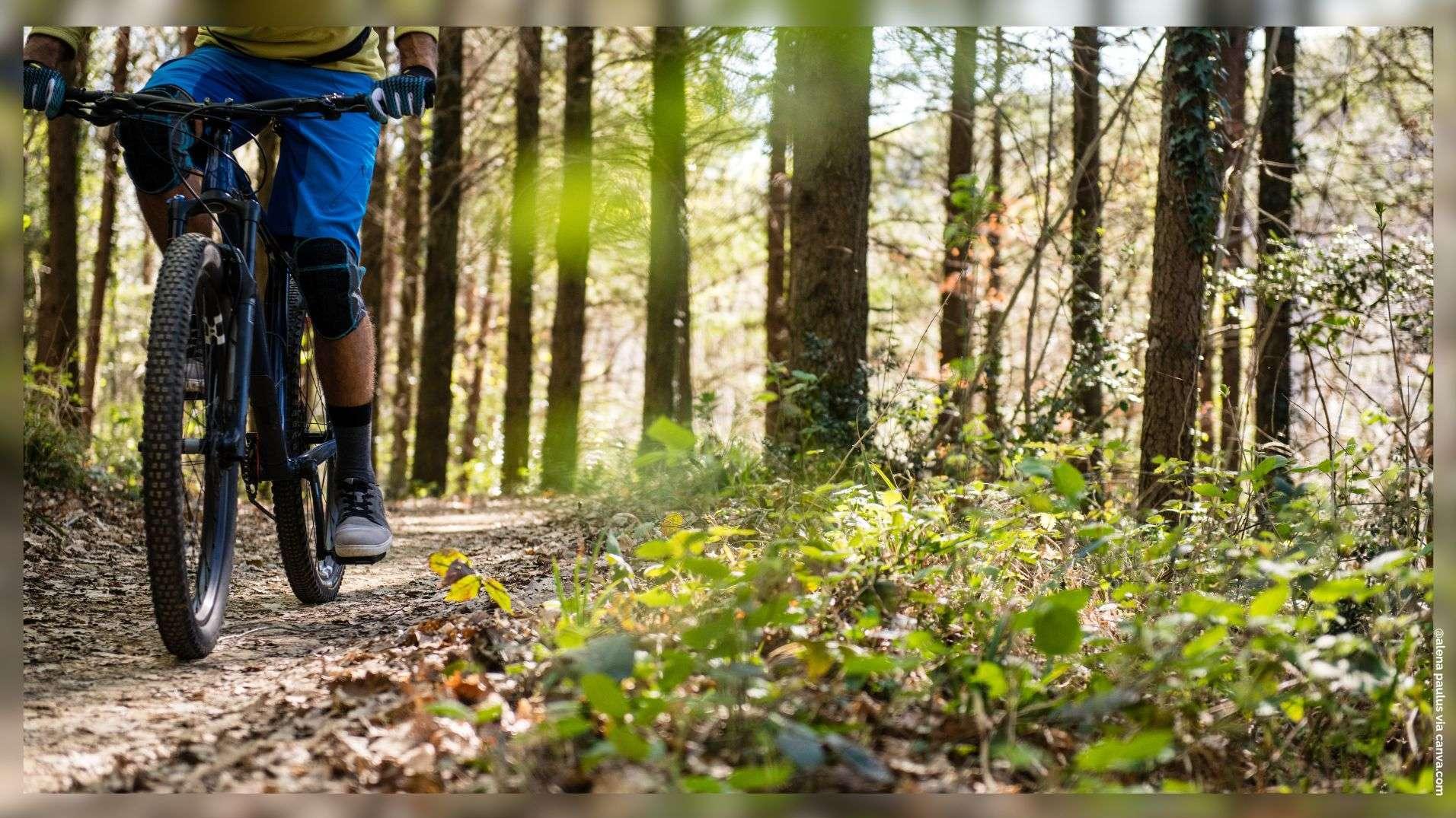 VTT et Marche : pourquoi il ne faut pas rater la "Rando des 3 frères" ce dimanche à La Mède 