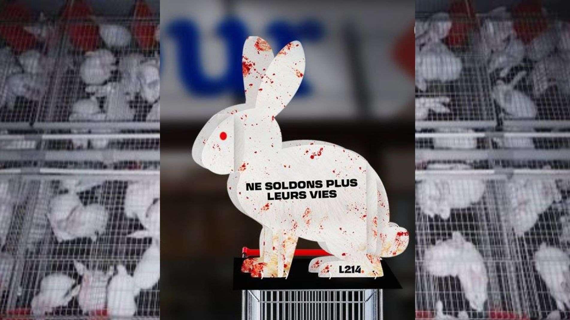 "Filière Qualité" ou "Cruauté" ? L214 porte plainte contre Carrefour et manifeste ce samedi à Marseille