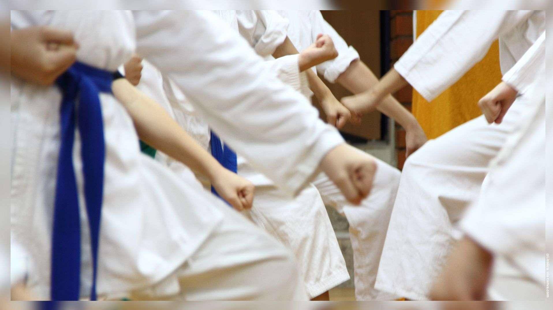 Défense Karaté Training Istres : 50 ans de karaté, de tradition et de bien-être