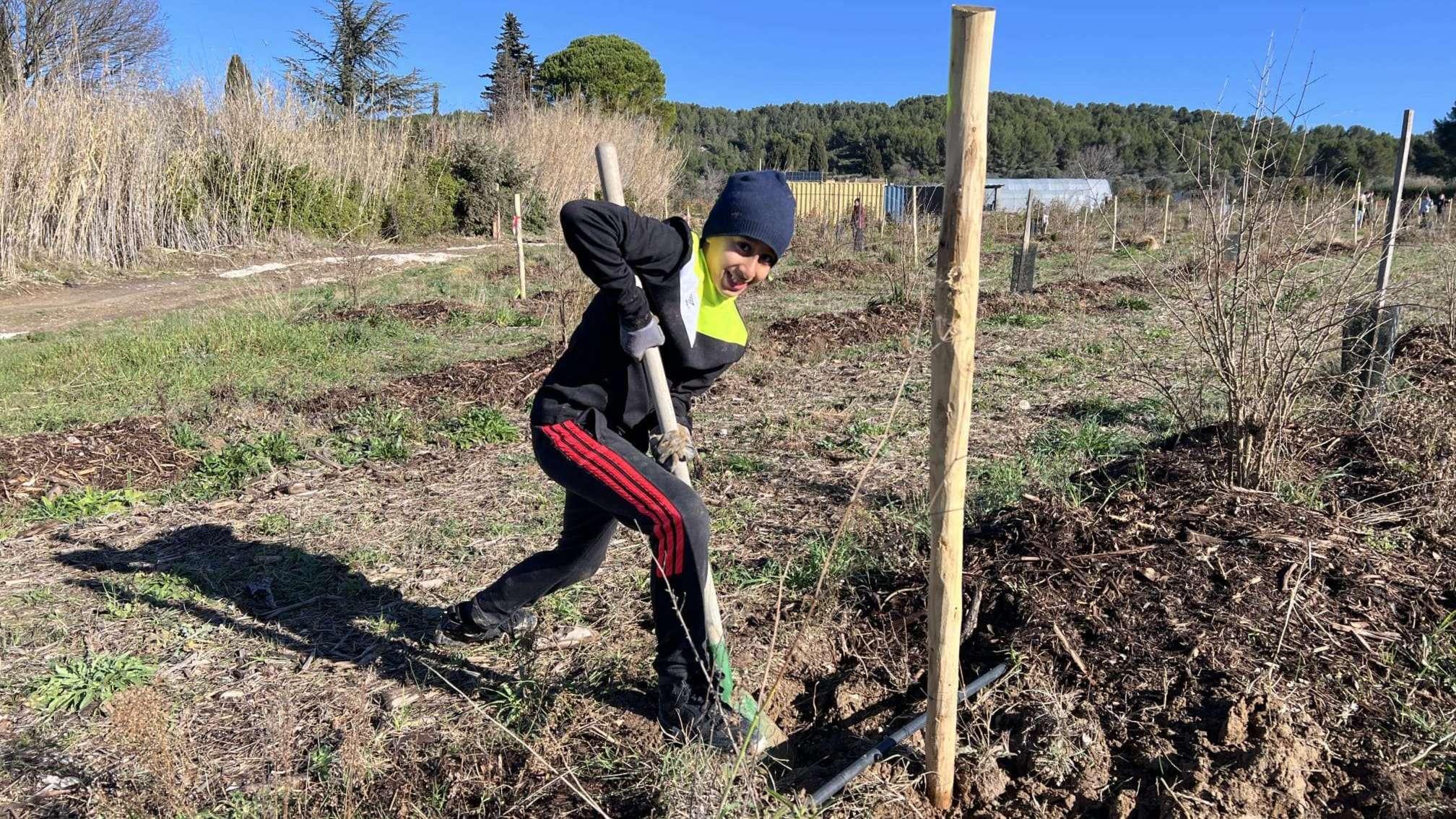 Martigues : à Saint-Julien, les écoliers plantent les racines de demain