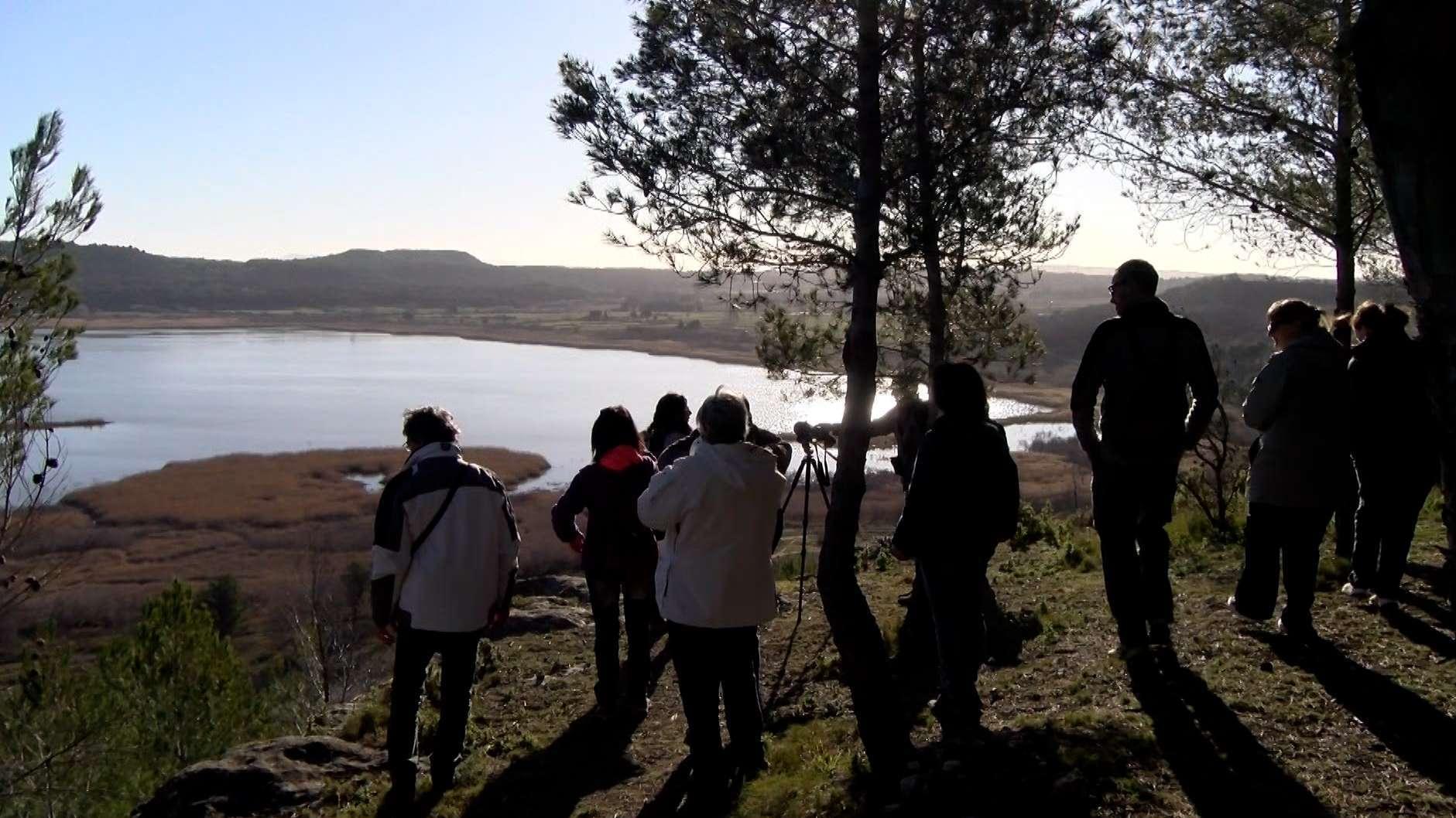 L'Étang de Berre célèbre ses "zones humides" : un mois d'animations gratuites pour découvrir nos trésors cachés