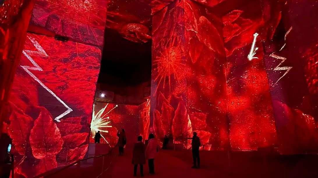 "Subjuguée et bouleversée" : nous avons vécu l'incroyable choc visuel Picasso et Frida Kahlo aux Carrières des Lumières