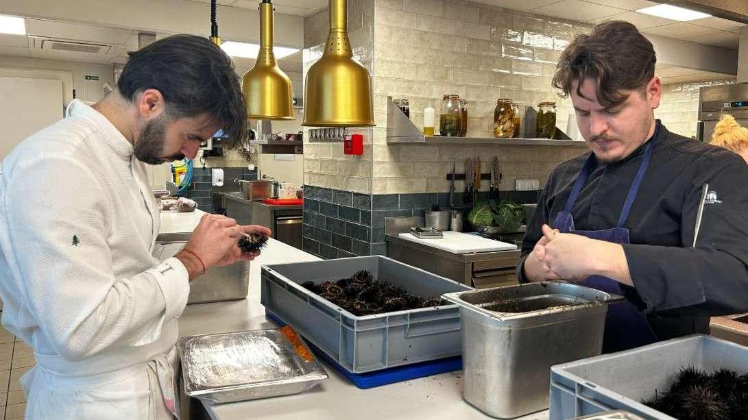 L'oursin dans tous ses états : à Carry, le chef Ilane Tinchant sublime le "roi de la Côte Bleue"