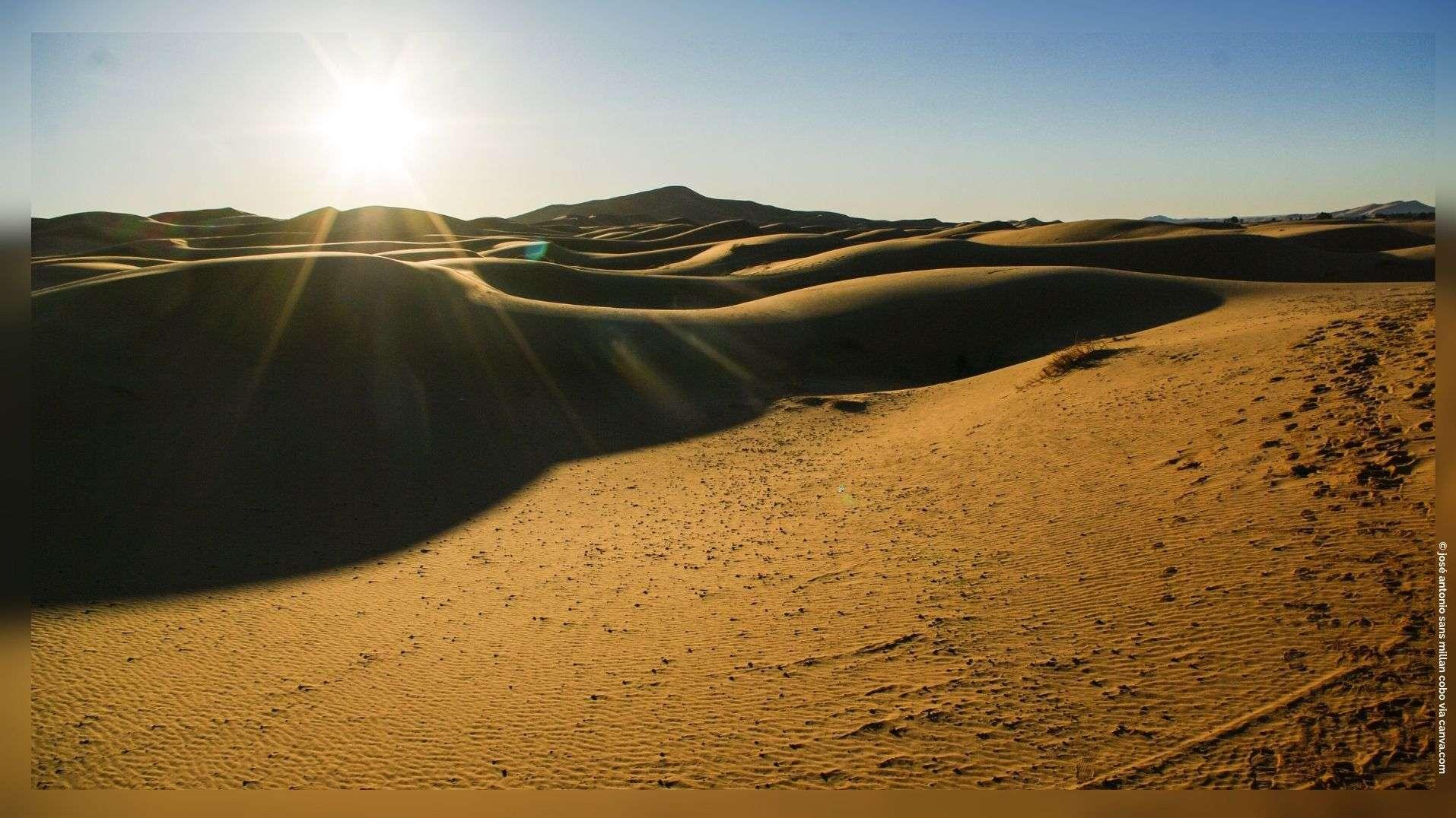 Aubagne : « À jamais les premiers », le défi de deux amis qui s'attaquent au désert marocain en Twingo