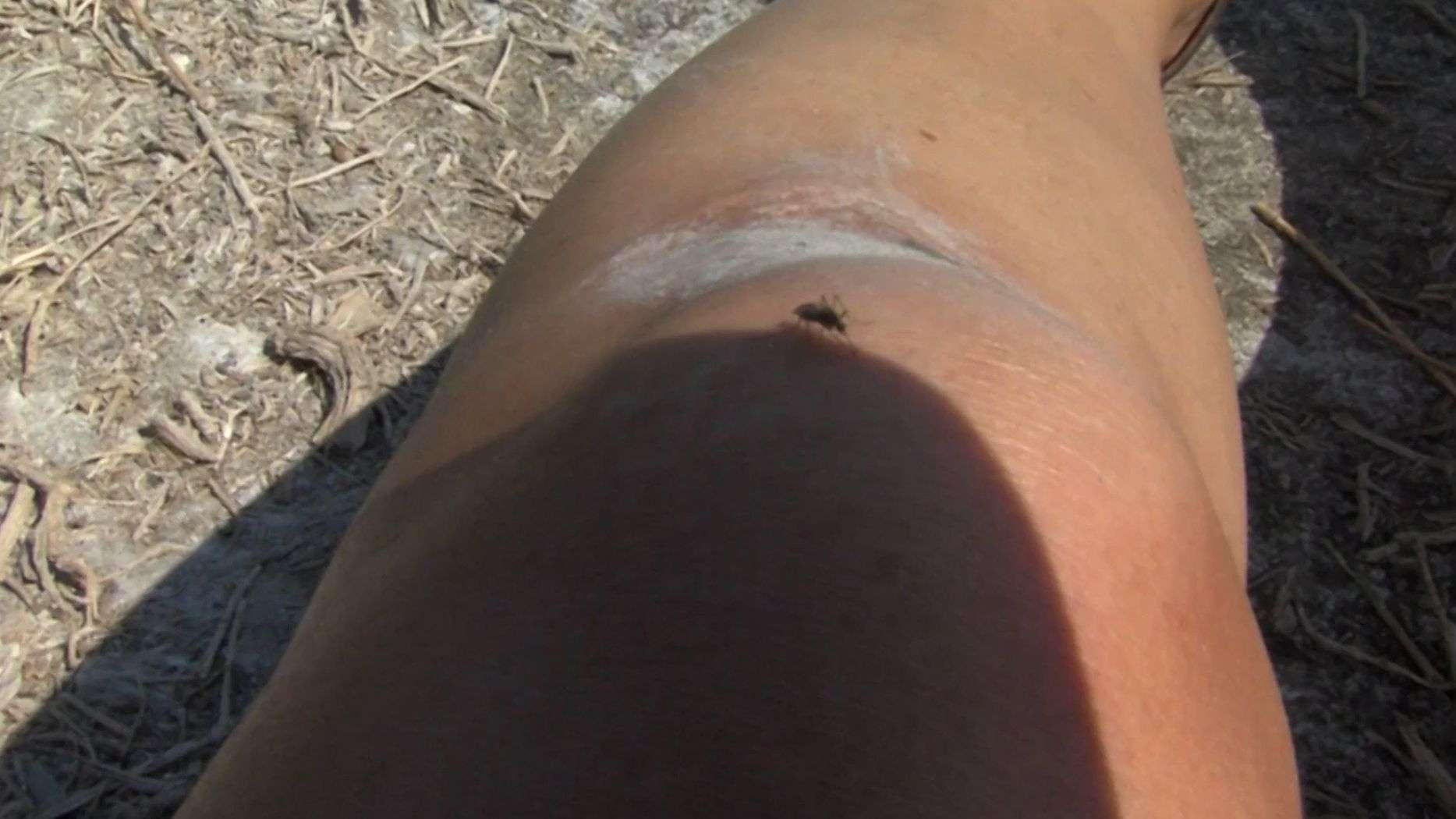 Moustiques : pourquoi le calme actuel en Provence cache une possible « explosion » dès les prochaines pluies