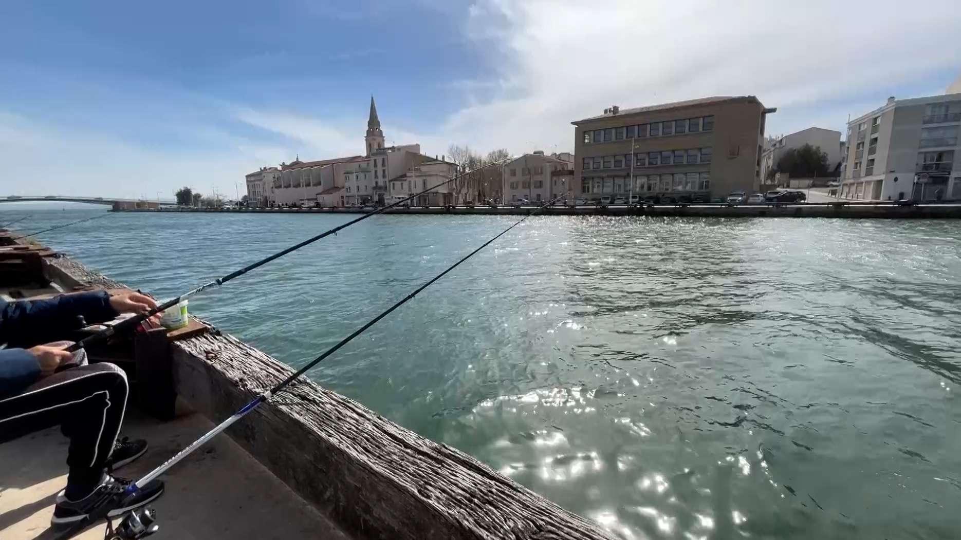 Pêche de loisir : l’enregistrement et la déclaration des prises deviennent obligatoires