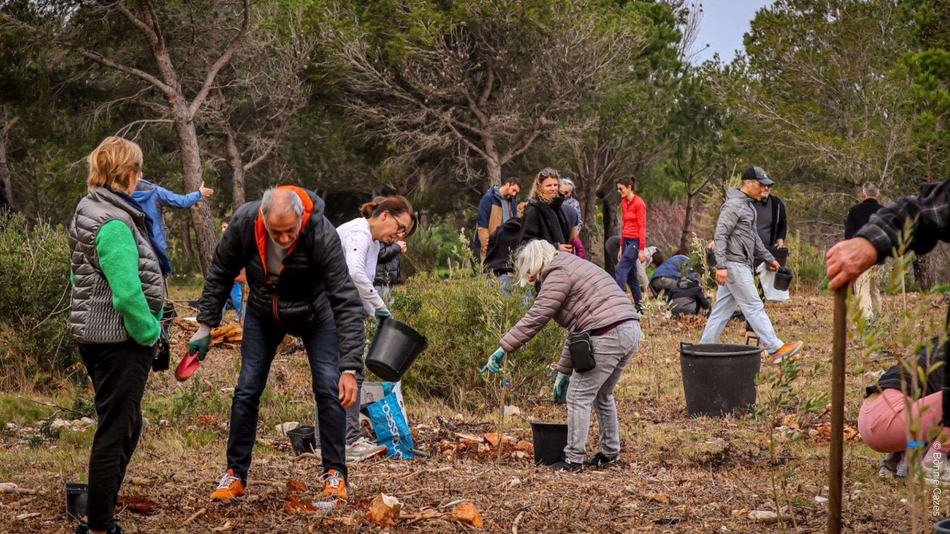 Après le traumatisme de l'incendie de 2020, Sausset-les-Pins poursuit sa renaissance avec 100 nouveaux arbres "pare-feu"