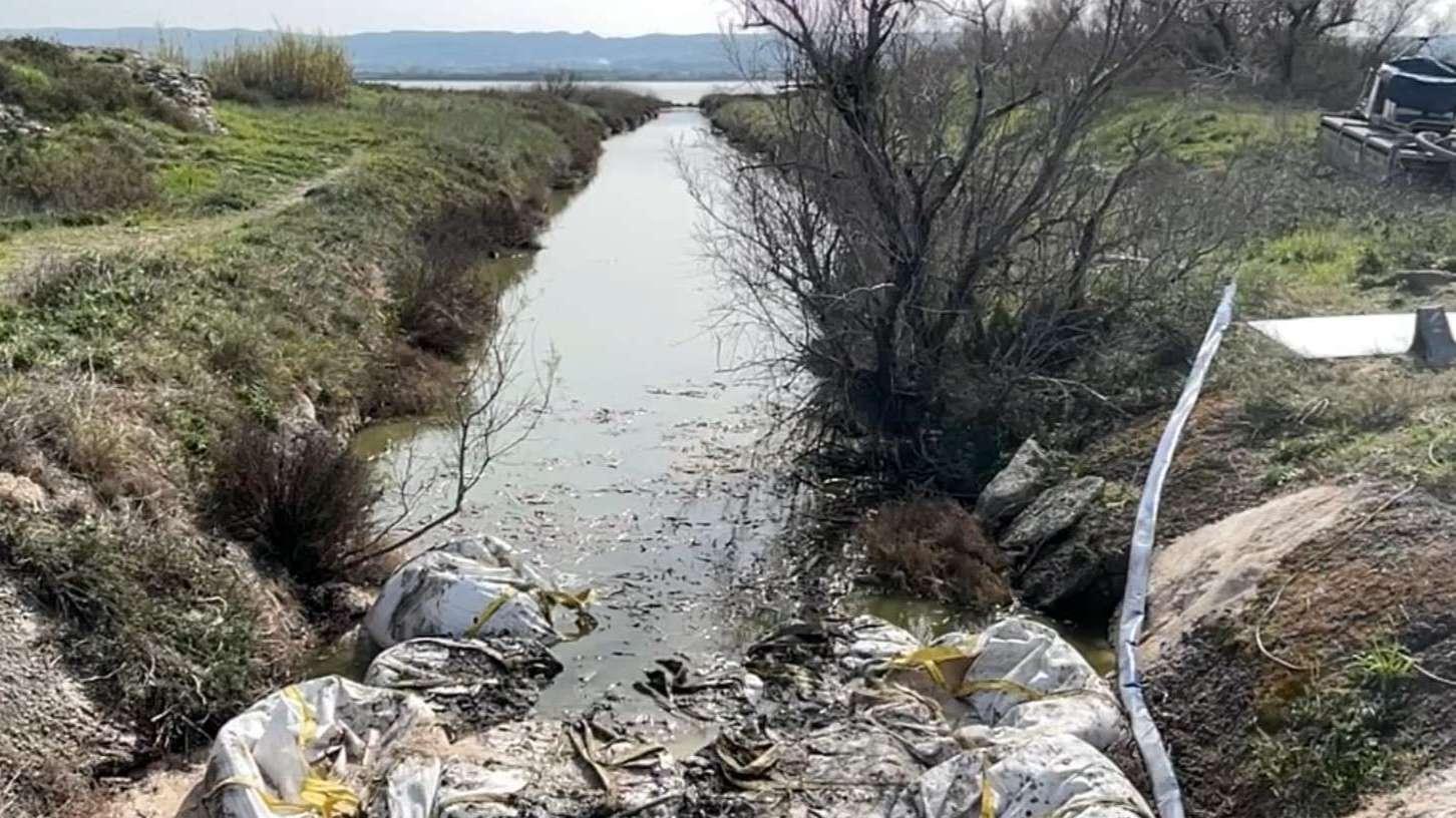 Etang de Berre : ce chantier devrait améliorer la qualité de l'eau de l'étang de Bolmon