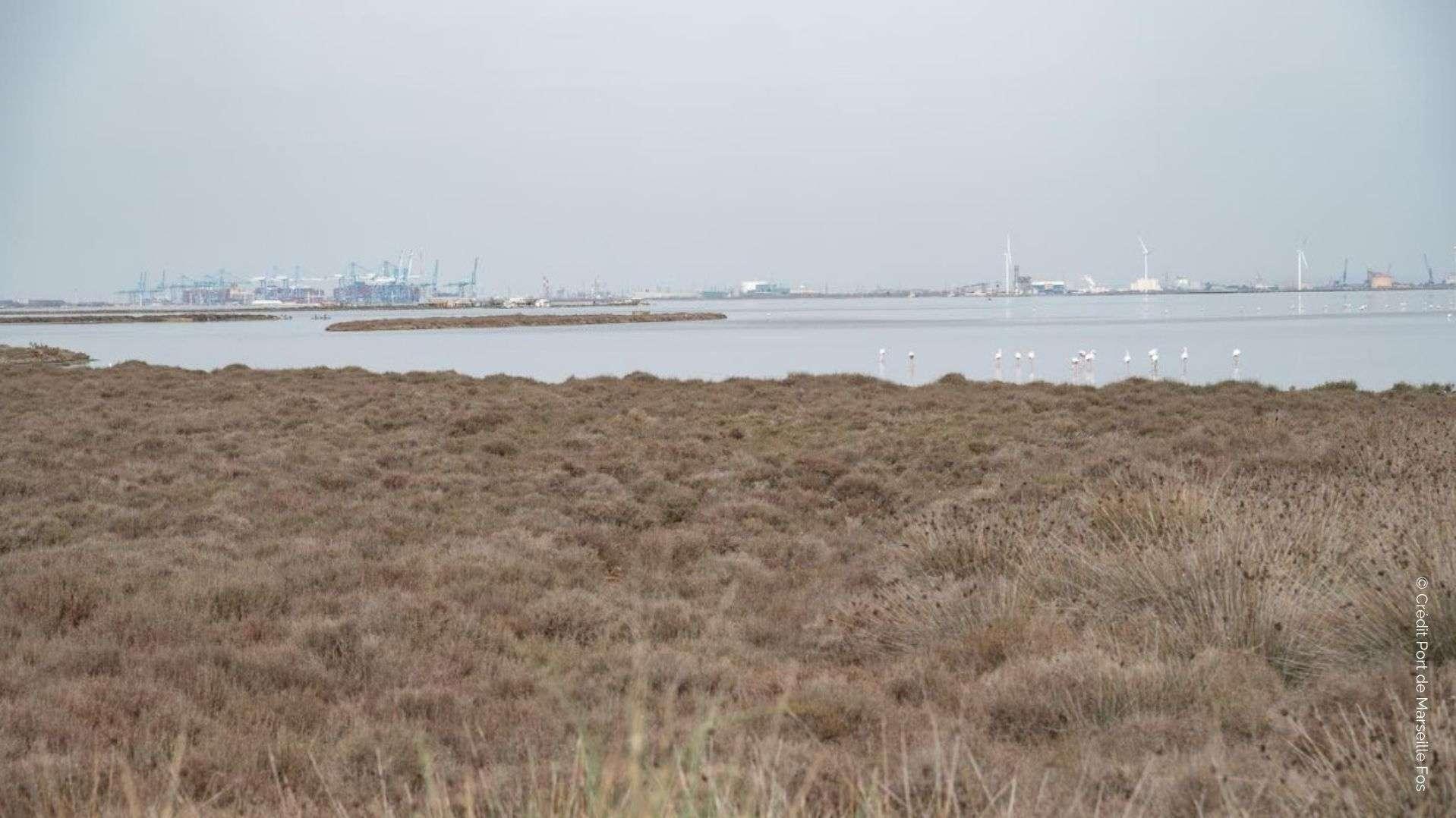 Érosion : comment le Port de Marseille Fos veut empêcher la disparition de la Gracieuse