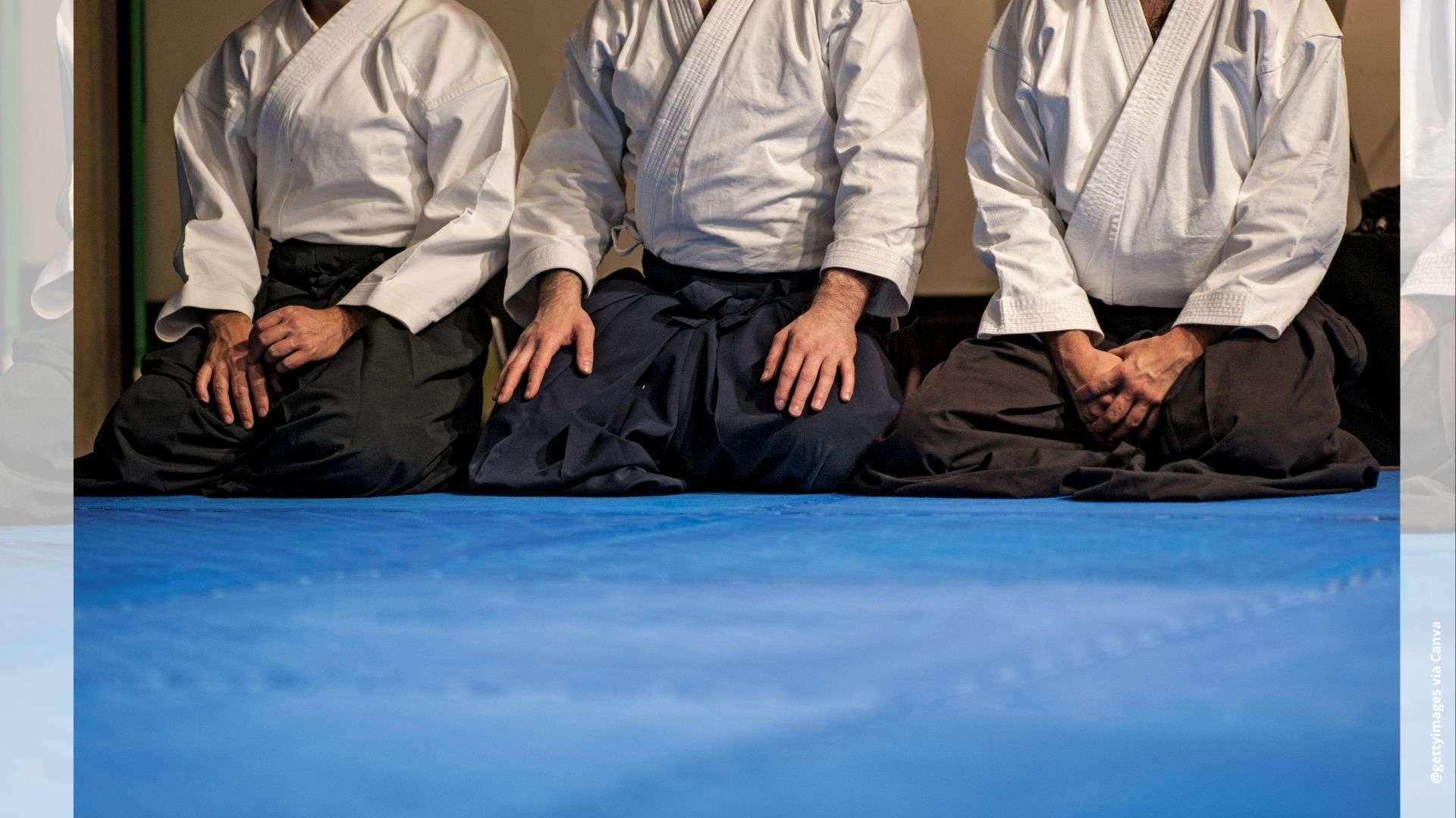 Istres Sports Aïkido : découvrez cet art martial sans compétition qui prône la maîtrise de soi et le respect