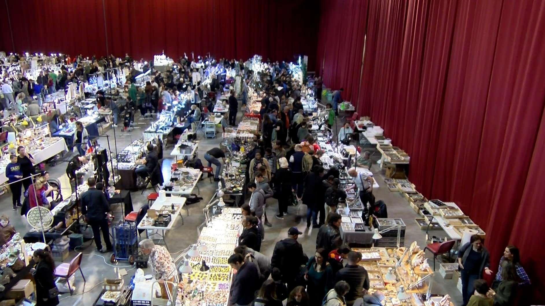 Sortir à Martigues : dinosaures, pierres rares et fossiles au Salon des Minéraux ce week-end