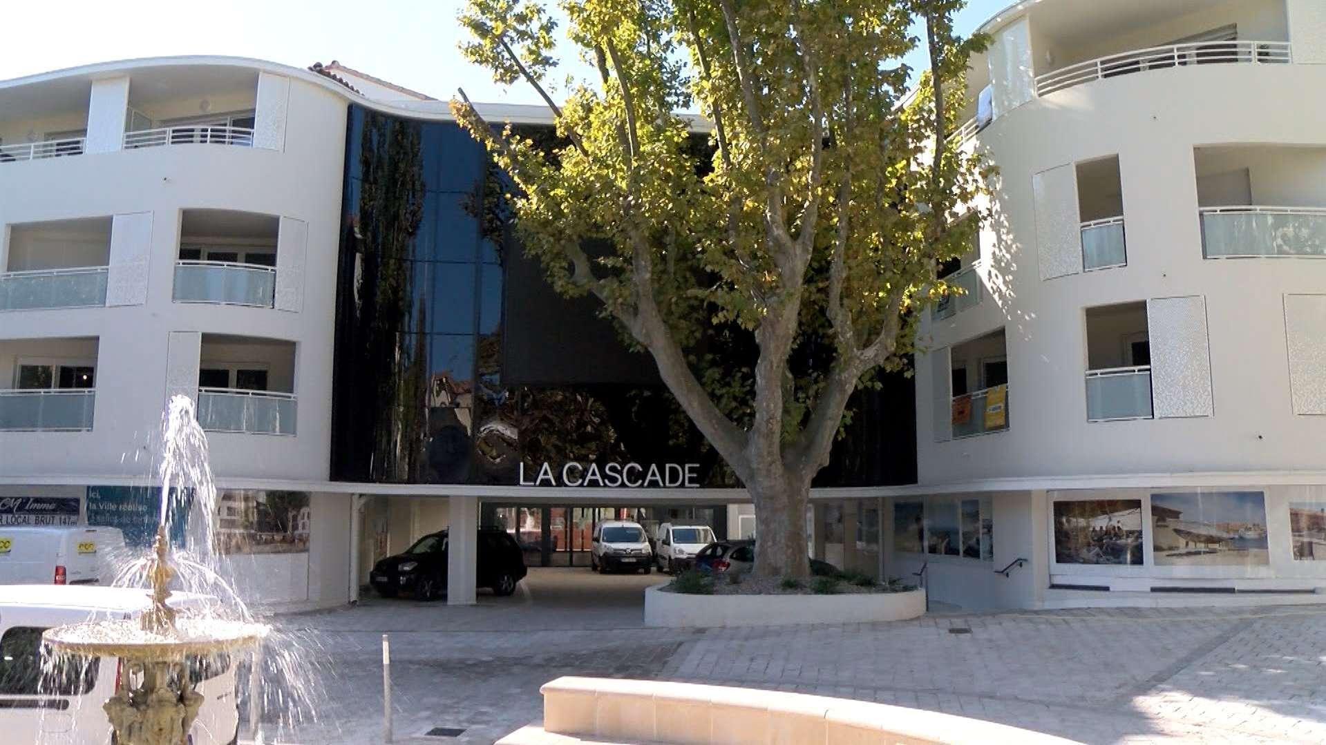  Martigues : atteint du chancre coloré, un platane emblématique devant le cinéma La Cascade doit être abattu en urgence