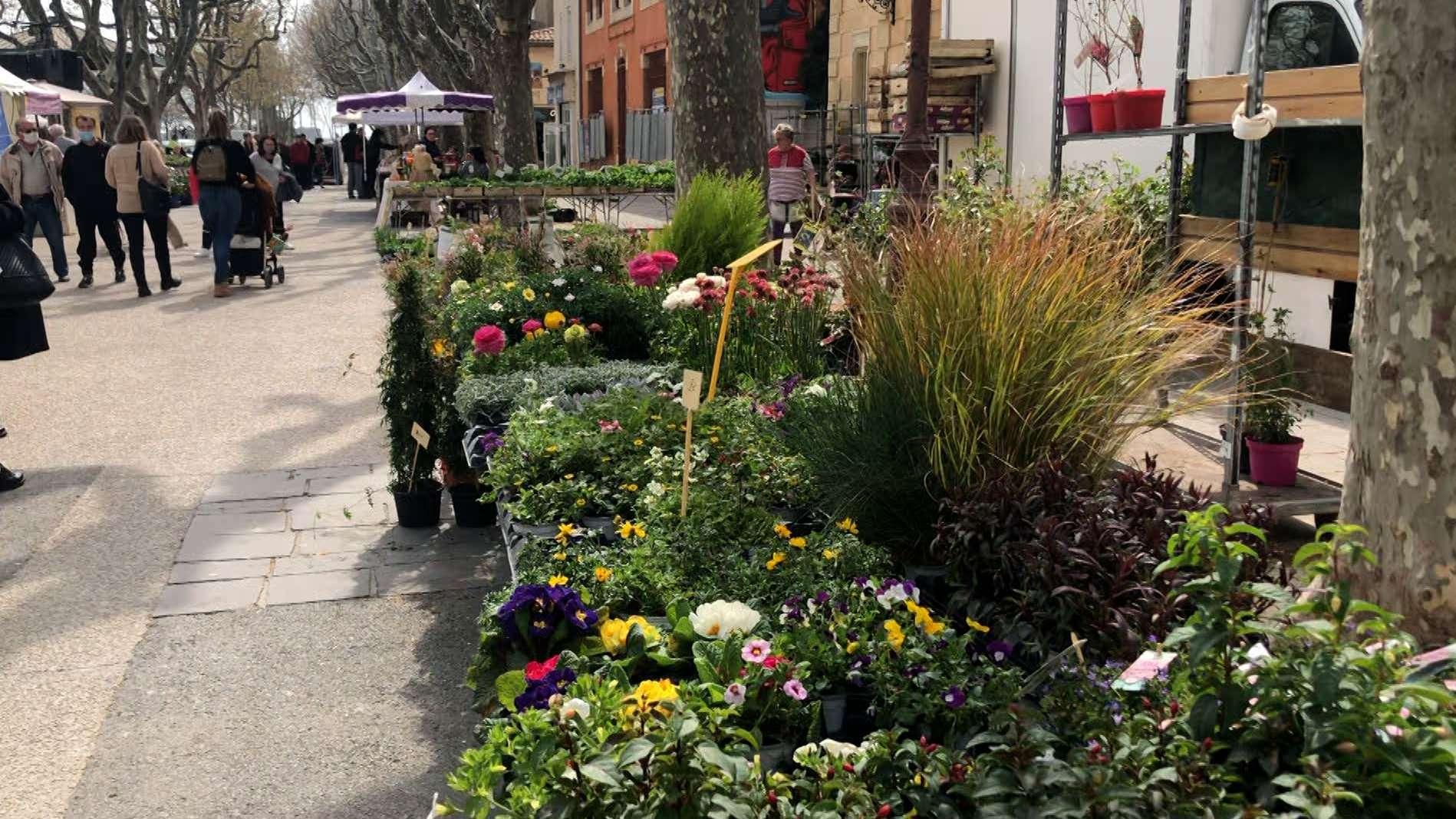 Que faire ce week-end du 28/29 mars en Provence ? Fête foraine, gastronomie, cirque,... Nos 5 idées de sorties