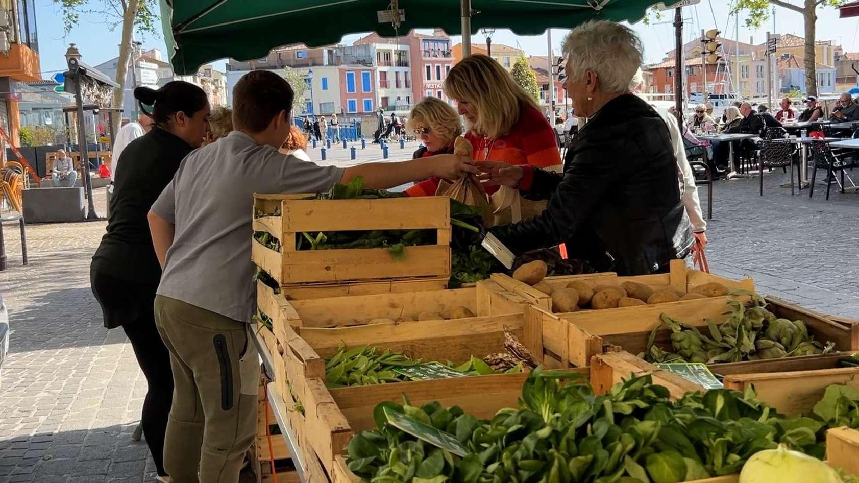 « On les ramasse avec amour » : à Martigues, le Marché des producteurs fait le plein de saveurs et de savoir-faire