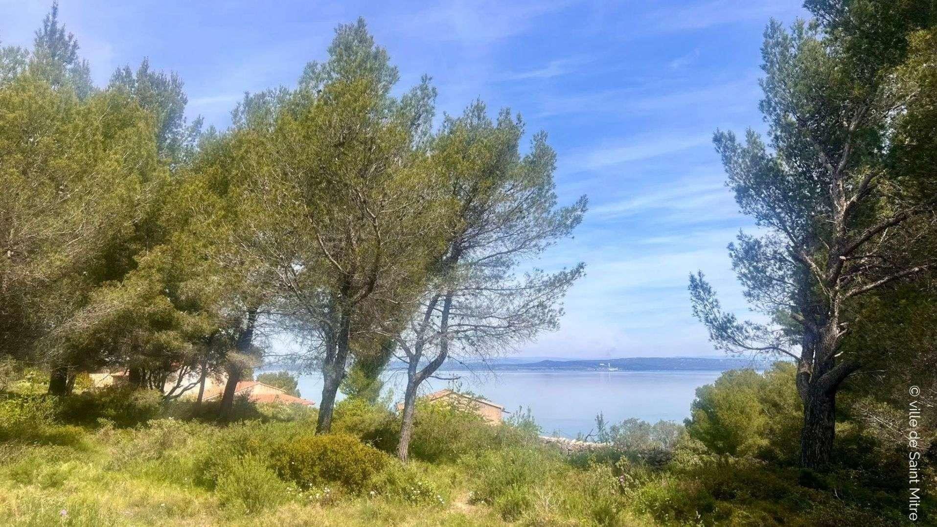 Sortie nature : une balade conviviale et un pique-nique géant pour le 1er mai à Saint-Mitre-les-Remparts