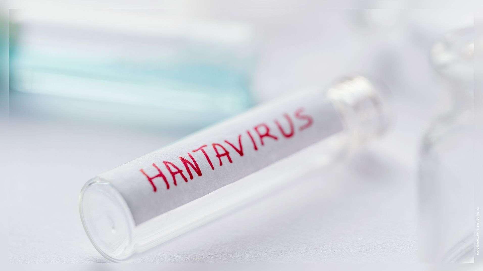 Hantavirus : "Notre travail n'est pas terminé", avertit le patron de l'OMS après l'évacuation du Hondius