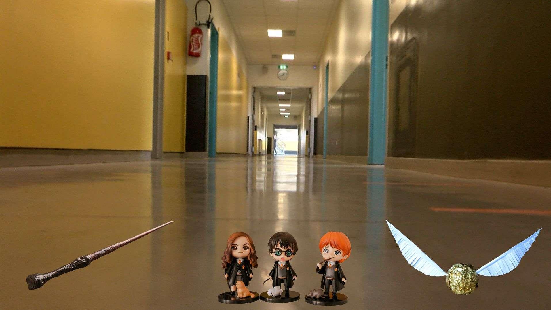Marignane : "C’est comme à Poudlard", l’incroyable projet Harry Potter qui transforme le collège Brassens