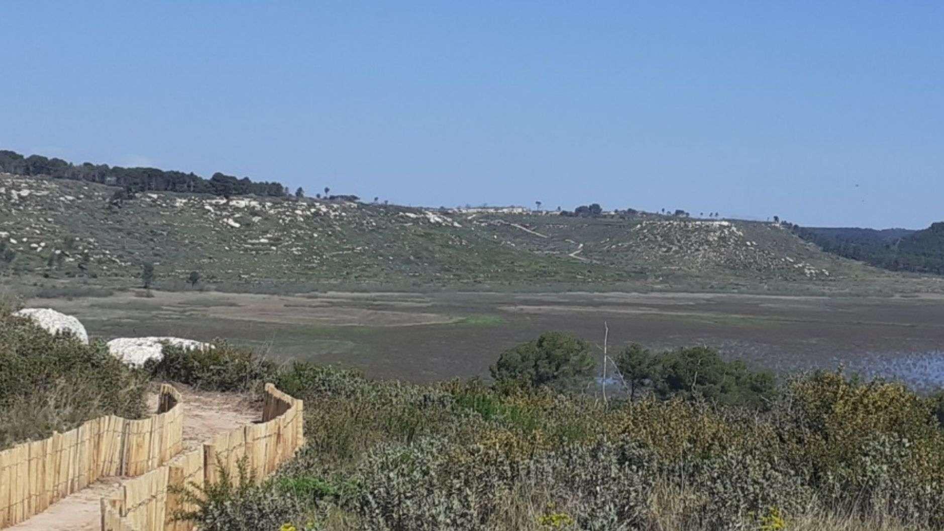Port-de-Bouc : 6 ans après l'incendie dévastateur, la forêt de Castillon renaît avec un nouveau sentier de découverte