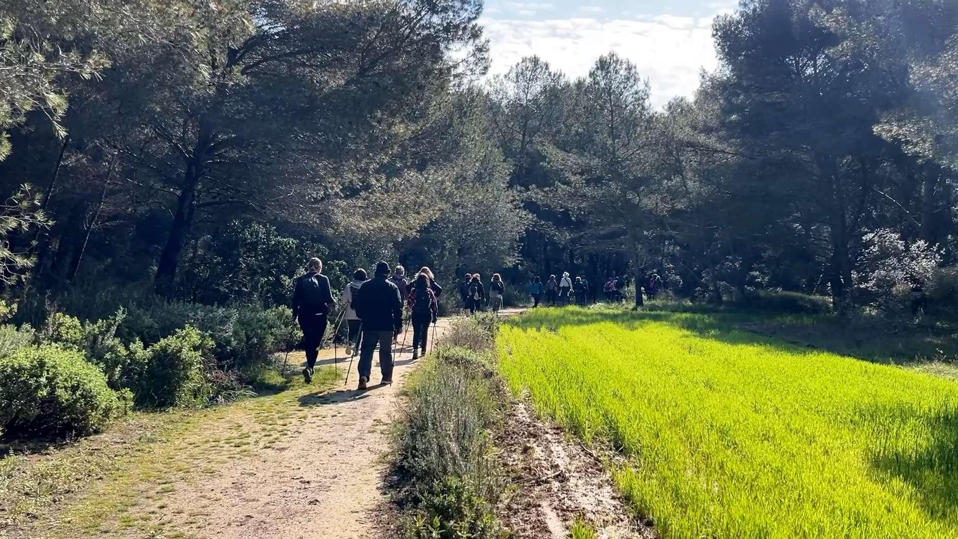 Randonnée à Martigues : pour le club Sports Loisirs Nature, "marcher seul, c'est passer à côté de l'essentiel"