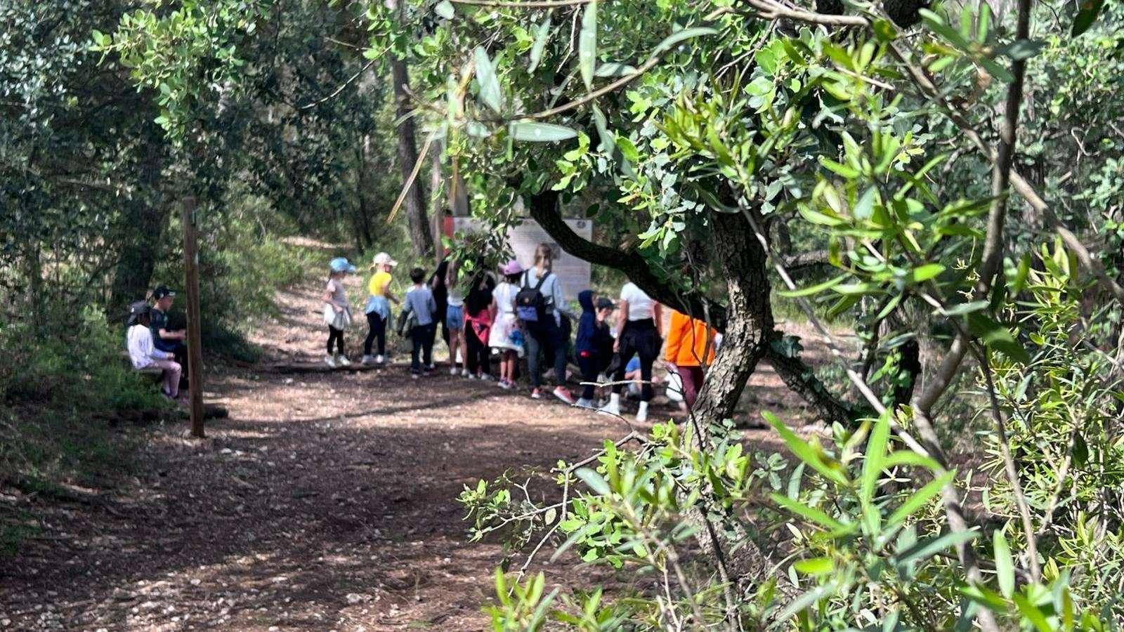 Gardanne : plongée à l’Écomusée de la forêt, là où les enfants apprennent à "lire" la nature