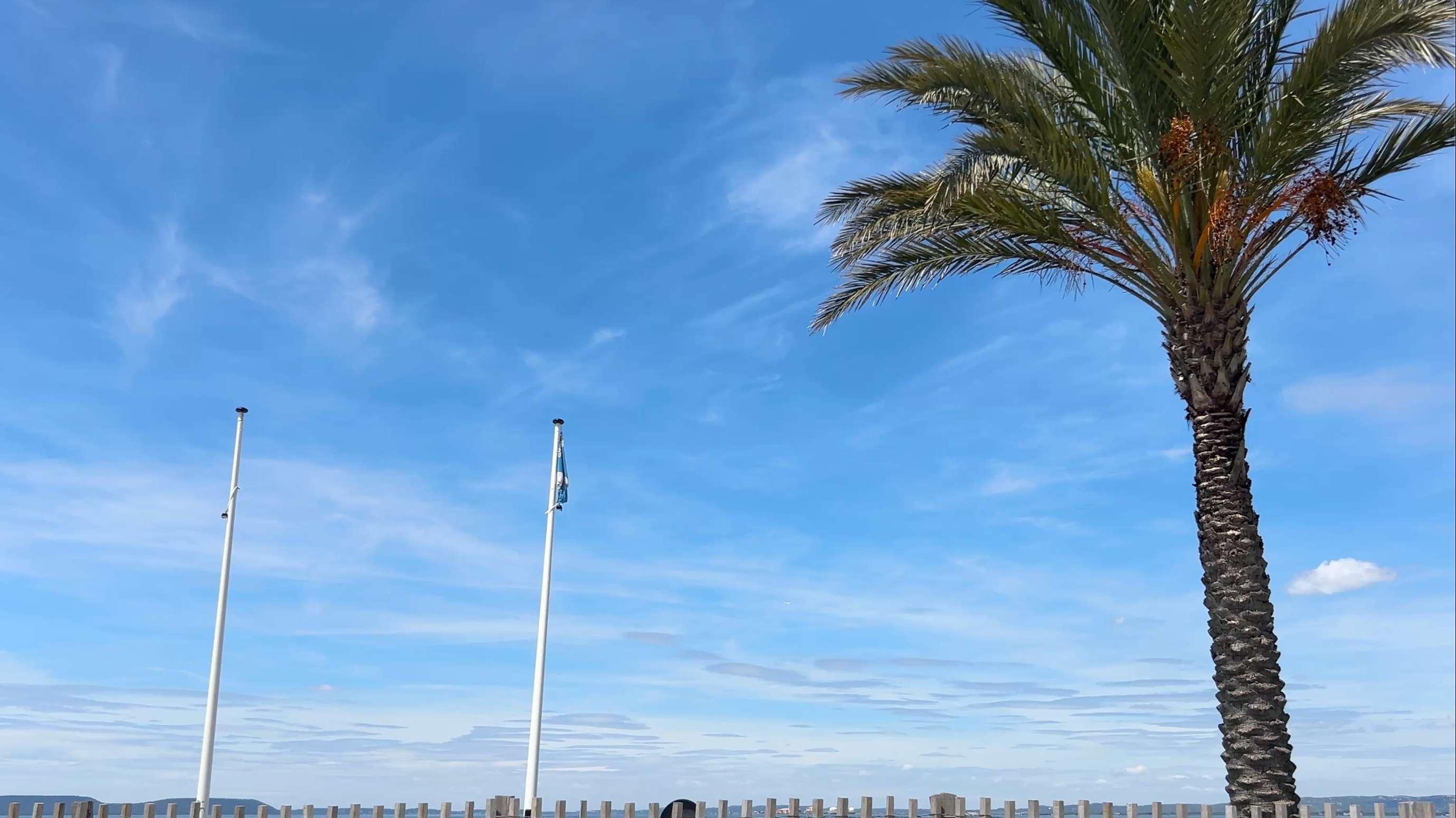 Pavillon Bleu 2026 : un label parfois méconnu, mais qui rassure les usagers des plages