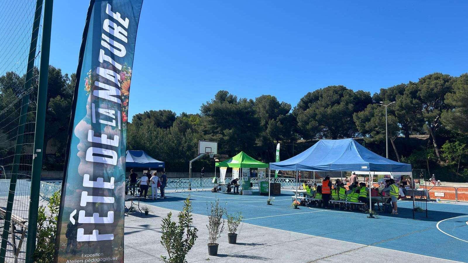 Sausset-les-Pins : déguster des orties, traquer les frelons et compter les papillons... On a fêté la nature sur la Côte Bleue