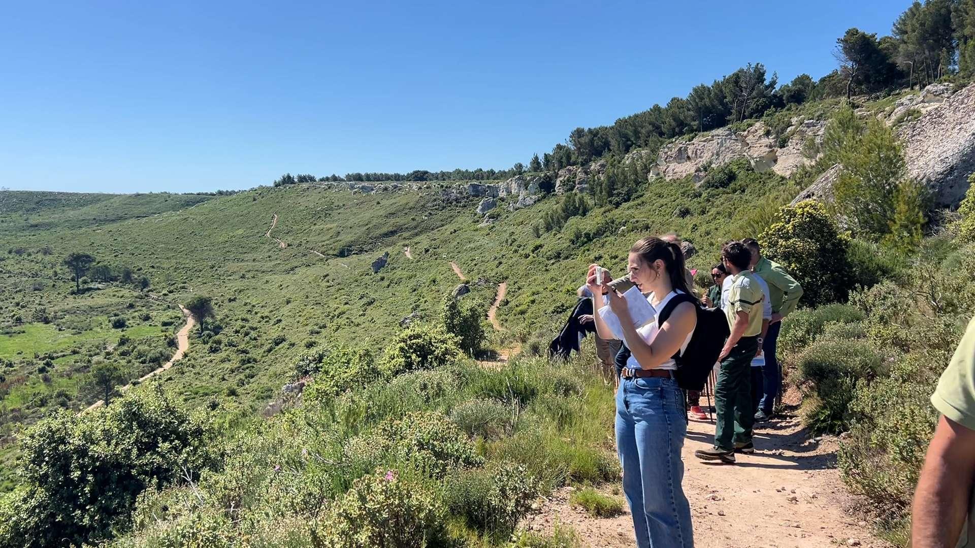 Forêt de Castillon : renaissance d’un poumon vert avec l’inauguration d’un nouveau sentier