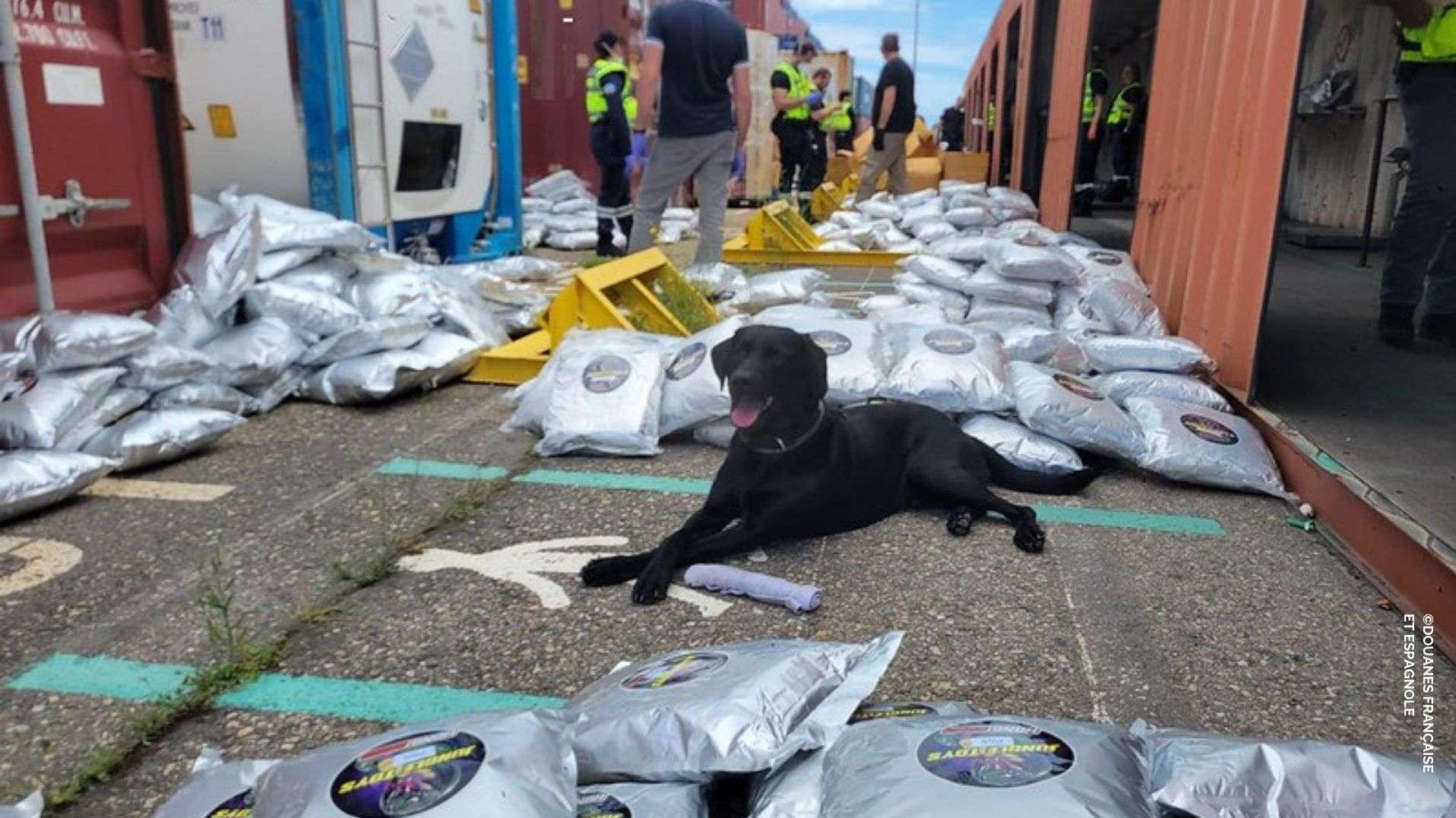 Port de Fos : 1,7 tonne d'herbe de cannabis saisie, le scénario fou d’une "livraison surveillée" jusqu'en Espagne