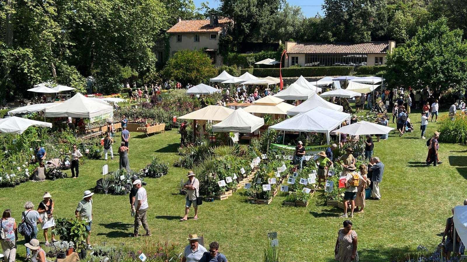Bouc-Bel-Air : cactées, roses anciennes et paradis vert... On a plongé dans la magie des Journées des Plantes d’Albertas