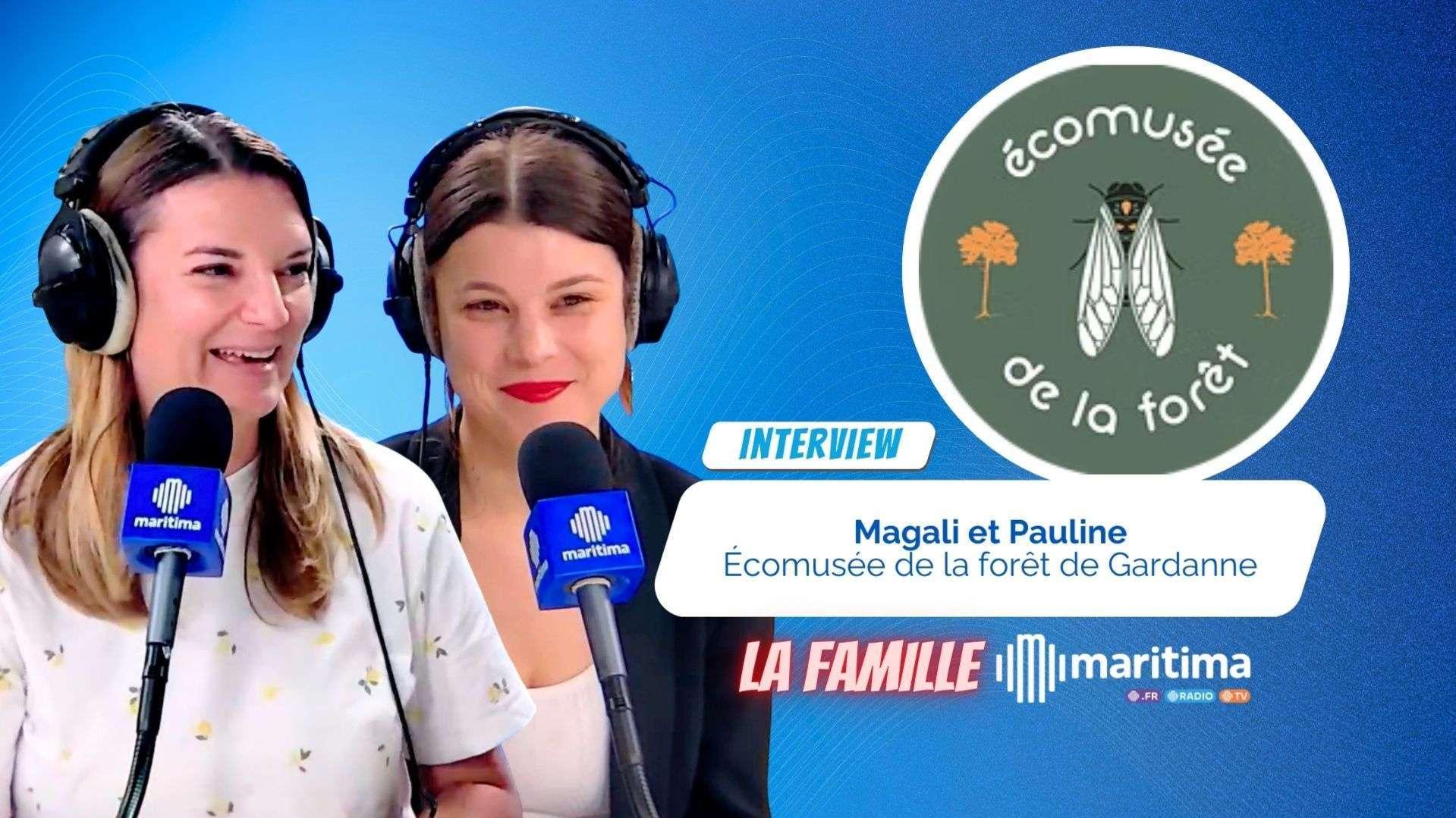 Le 6 juin : partez en voyage dans la Forêt de Gardanne