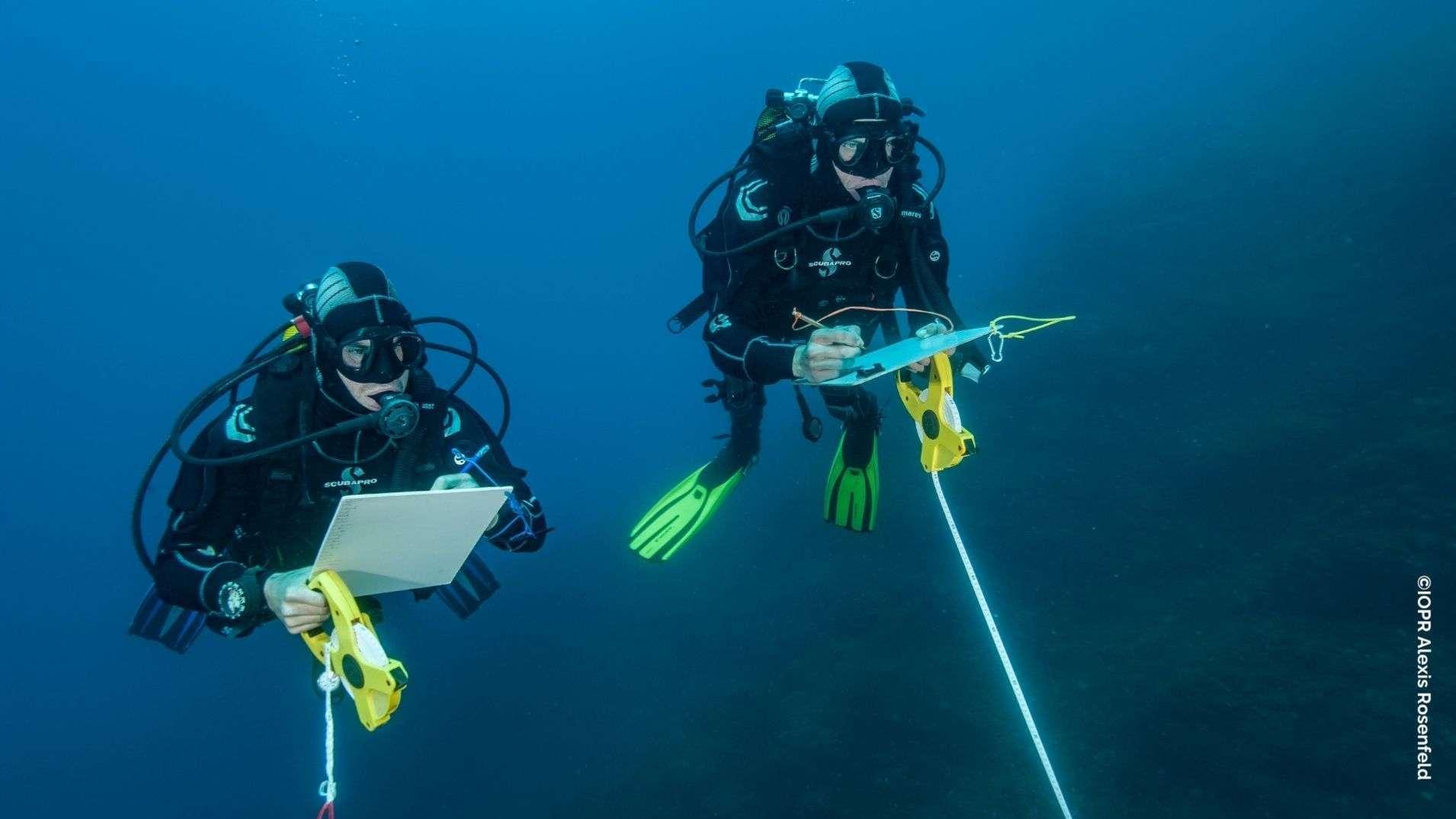 « La Méditerranée se tropicalise » : l'alerte de Patricia Ricard pour les 60 ans de l'Institut océanographique