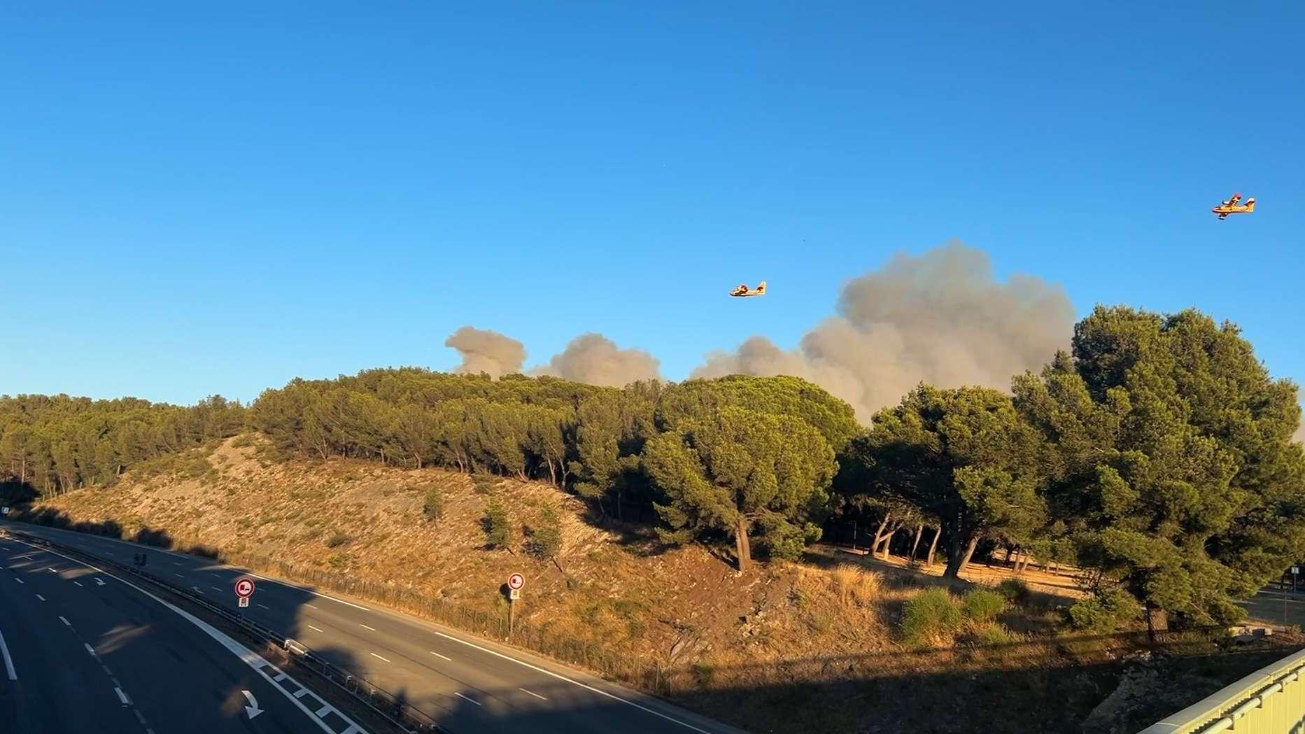 Feux de forêts : la Sécurité civile sur le qui-vive à l'aube d'une nouvelle saison à risques