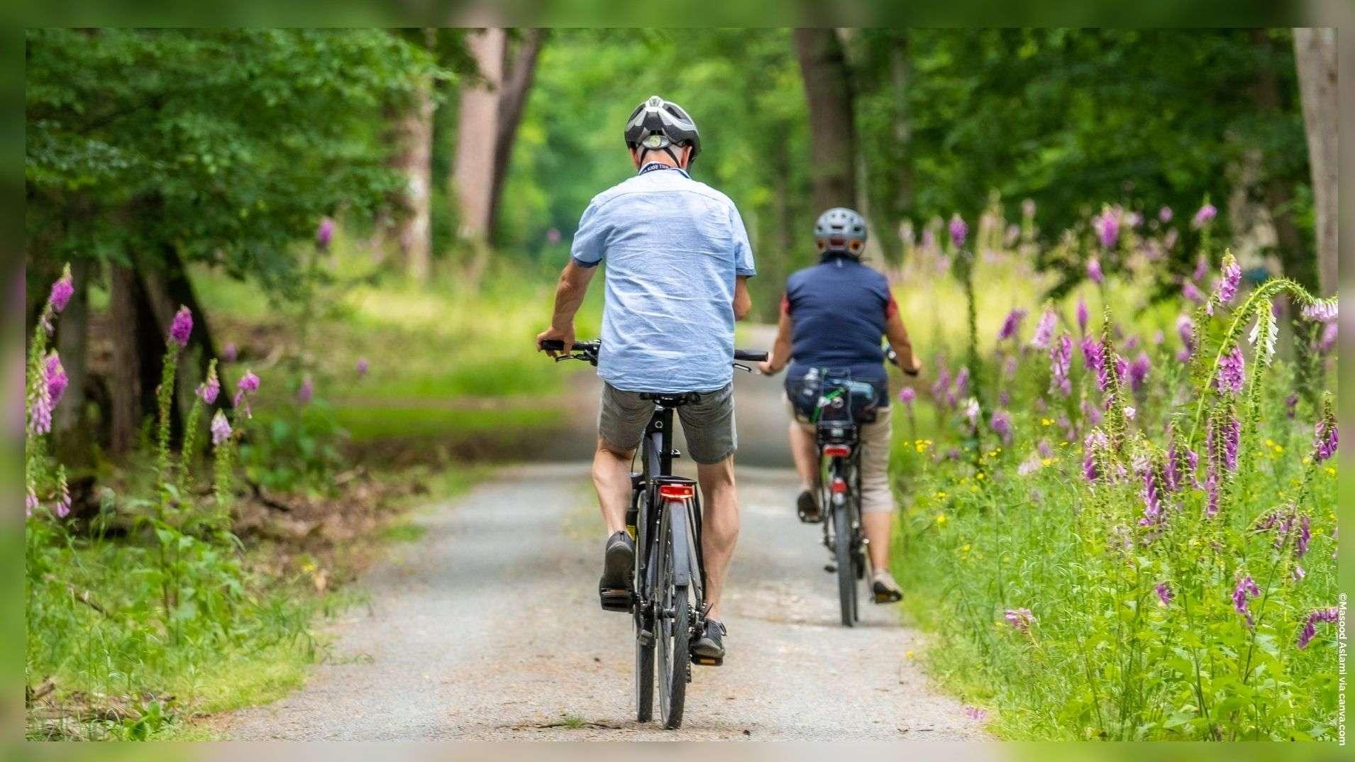 Cyclotourisme en France : découvrez Ma Voie Verte, la plateforme pour organiser vos itinéraires à vélo