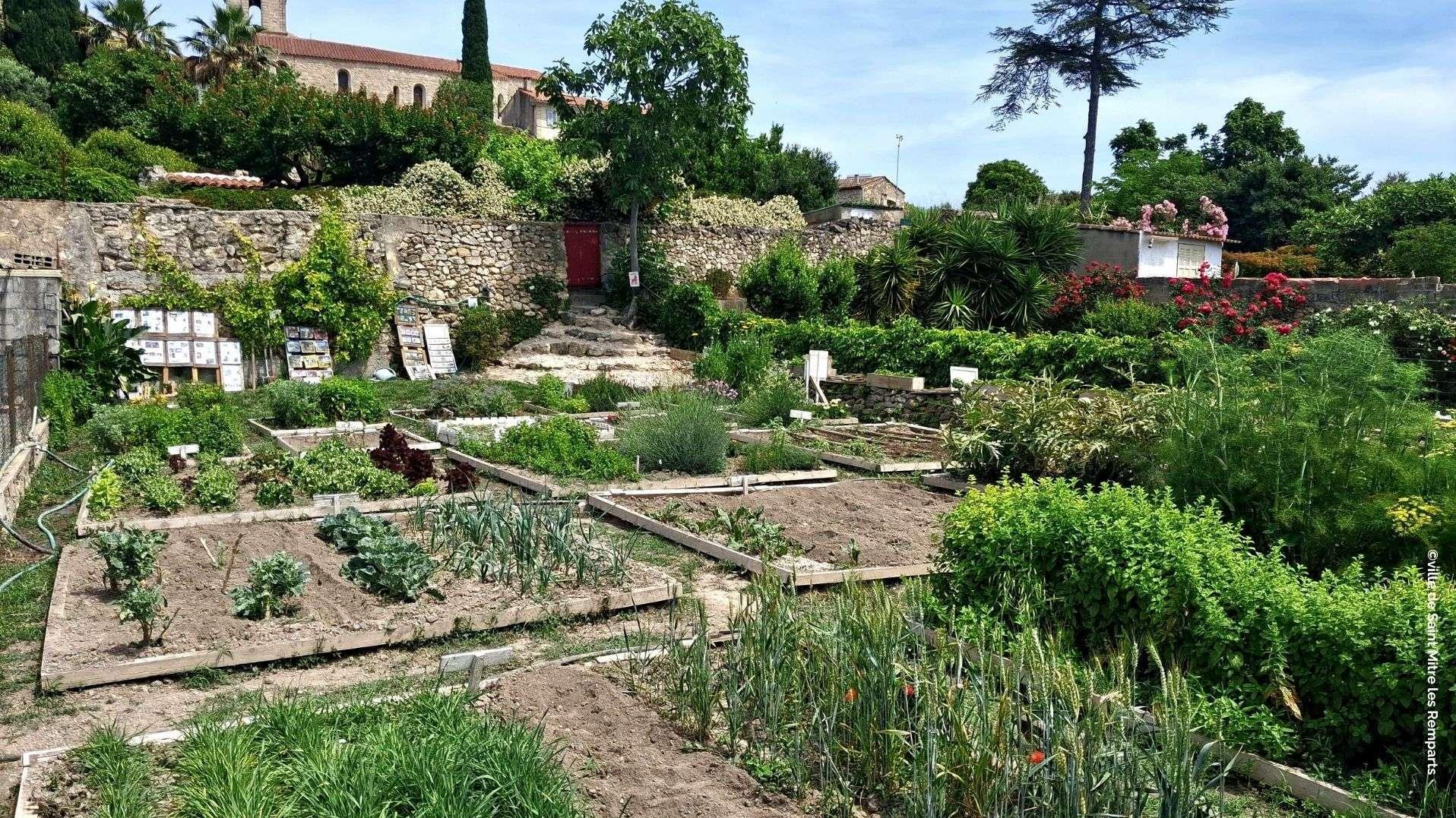 Saint-Mitre-les-Remparts : visites gratuites du jardin médiéval dès ce 7 juin