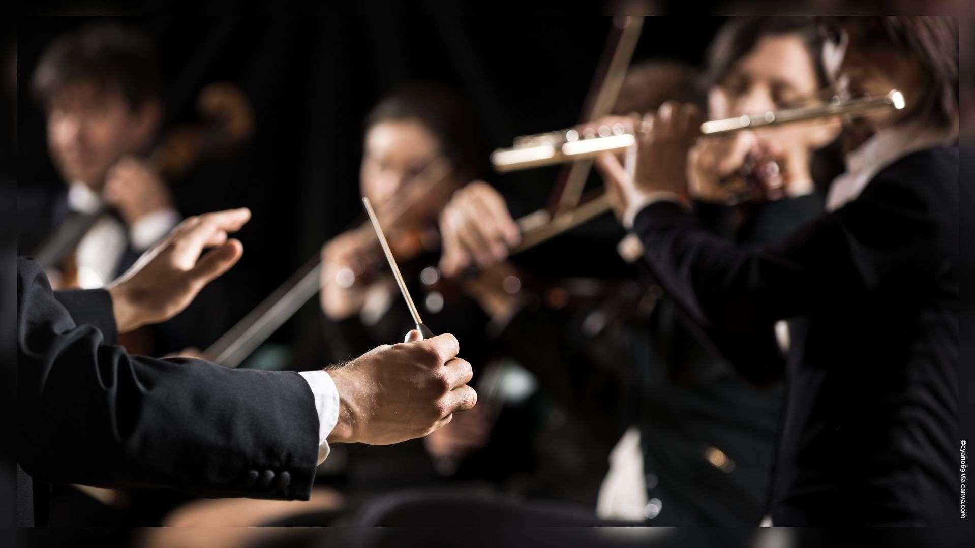 « On accueille les artistes les bras ouverts » : Marseille Concerts fête ses 40 ans avec une saison XXL entre Beethoven et Gautier Capuçon