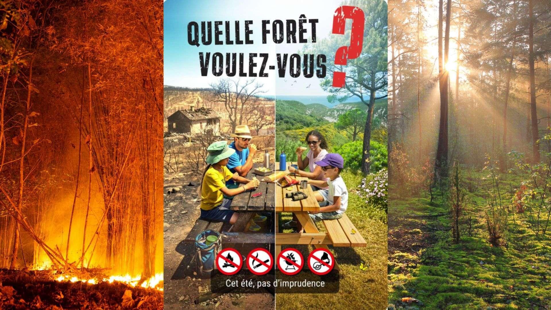 Prévention incendies 2026 : "Quelle forêt voulez-vous ?" La campagne de l'Entente Valabre lancée dans le 13