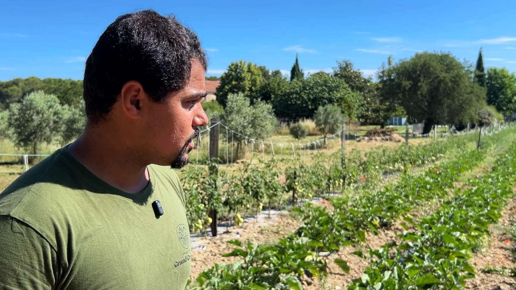 "On est obligé de s'adapter" : le défi des agriculteurs face aux fortes chaleurs 