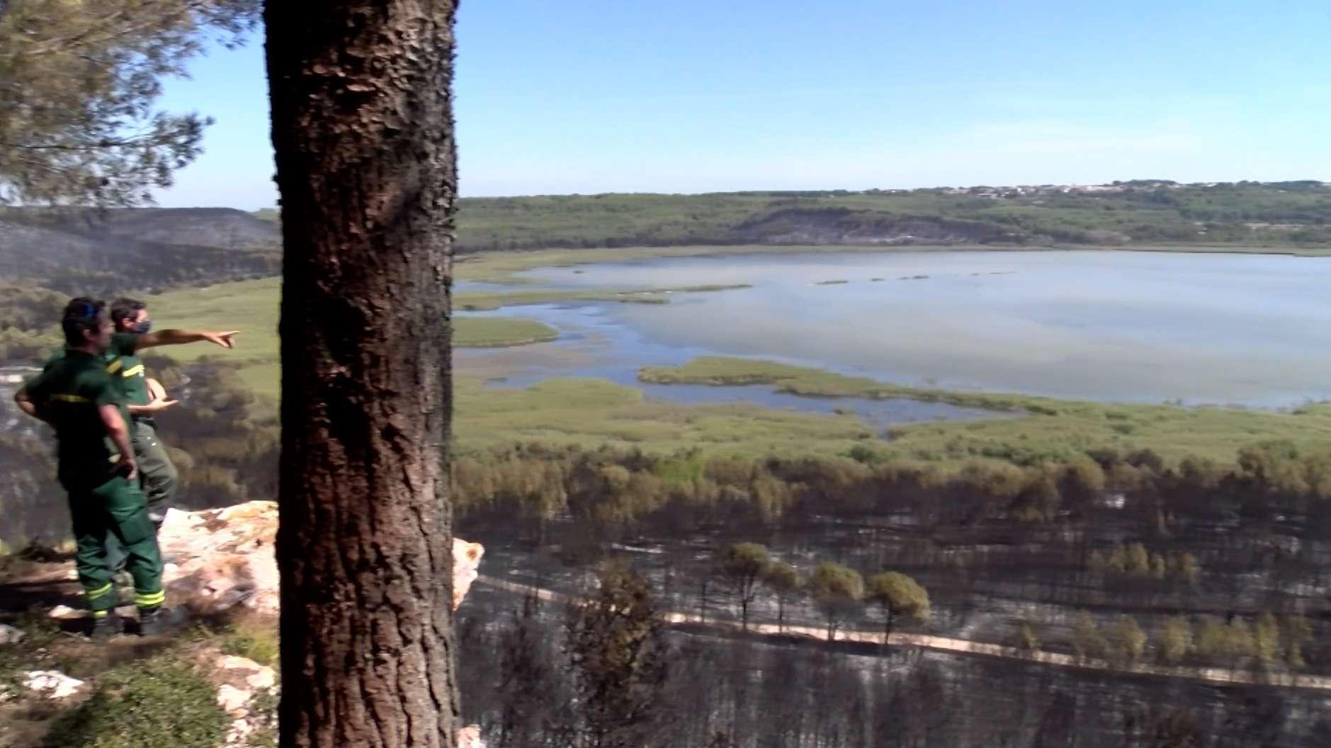 "30 départs de feu par jour" : l'alerte de l'ONF face à la canicule en Provence