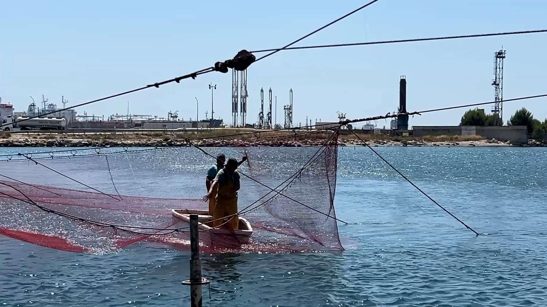 « Le caviar provençal » : à Port-de-Bouc, plongez au cœur des secrets de fabrication de la poutargue