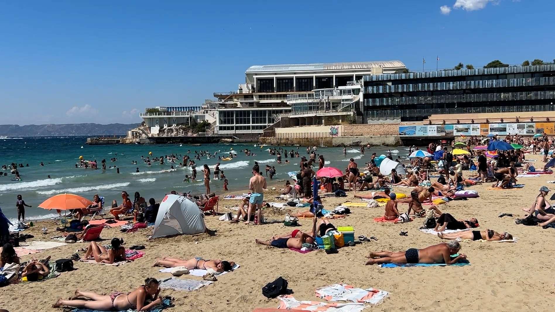 Marseille : baignade, pollution et « Plan Posidonie »… un été sous haute surveillance