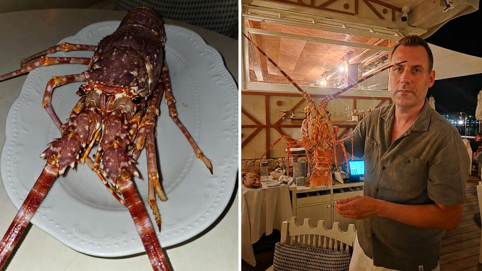 Insolite : il paie 300 € une langouste au restaurant pour la sauver de la casserole et la libérer